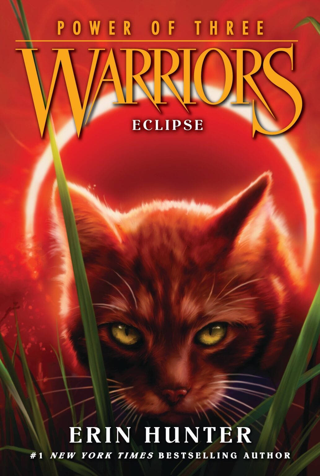 Warrior Cats Book Covers