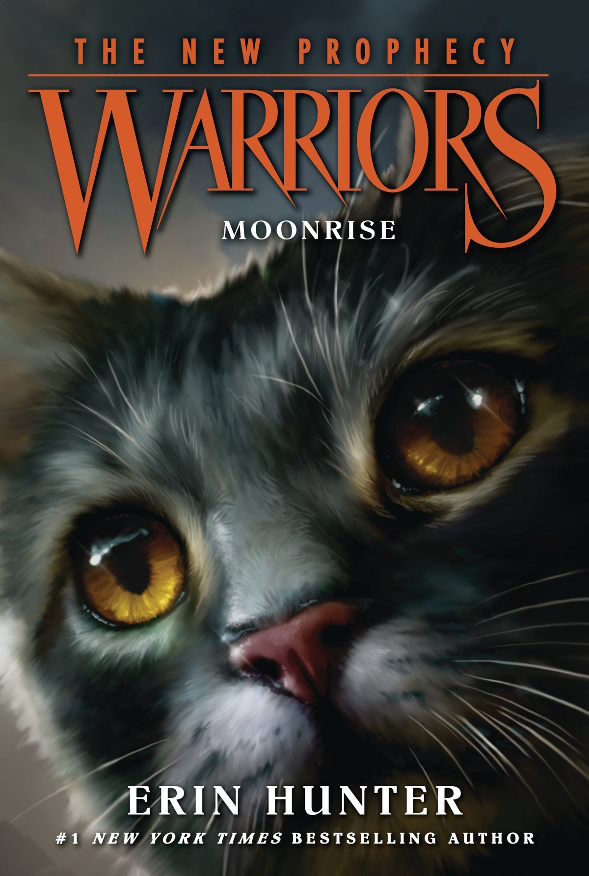 Warrior Cats Book Covers