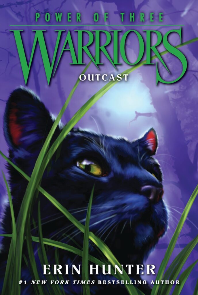 Warrior Cats Book Covers Outcast