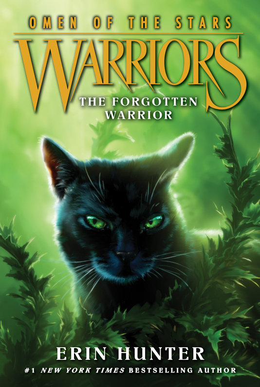 Warrior Cats Book Covers The Forgotten Warrior