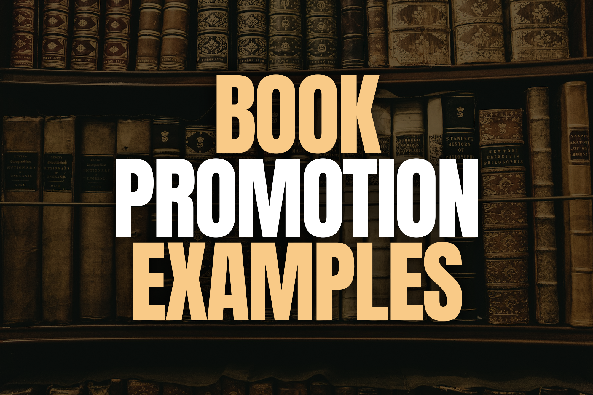 Book promotion examples