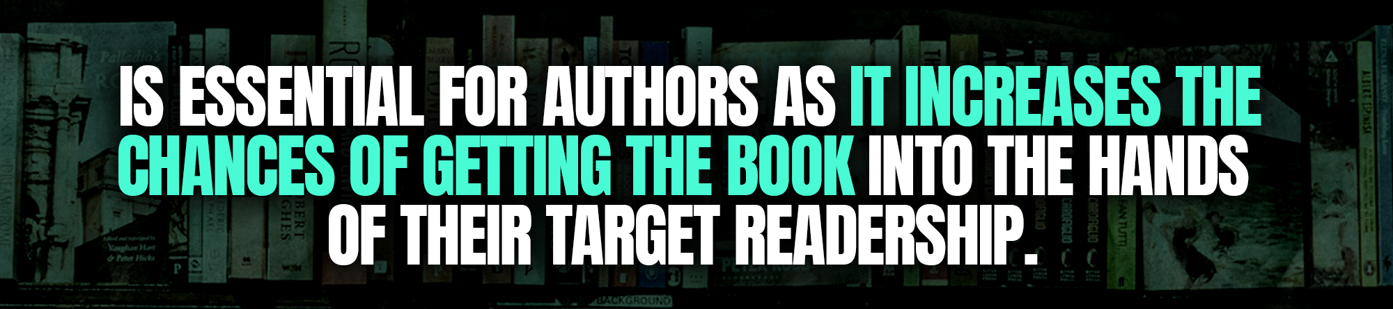 What is book promotion